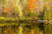 Herbstfärbung - Foliage - Indian Summer, USA von marie schleich