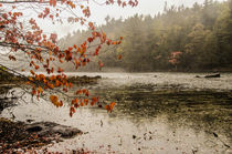 Herbst am See, USA von marie schleich