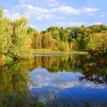 Herbst am Klostersee von gscheffbuch