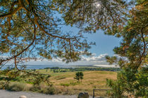 Hiddensee von Thomas Keller