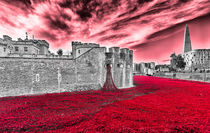 Poppies At The Tower - the very sky weeps von Graham Prentice