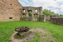 Burg Lichtenberg - Zahnrad von Erhard Hess