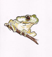 Frog in a tree by Terence Donnelly