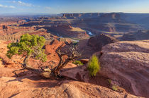 Deadhorse Point by Christine Büchler