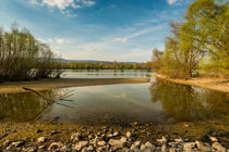 Rheinbucht bei Ingelheim 1 von Erhard Hess