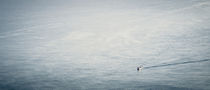 Minimalistic - Going Fishing by Kristian Goretzki