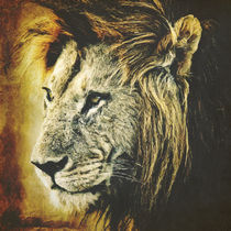 Lion von AD DESIGN Photo + PhotoArt