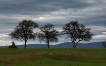 The Three Sentinels by John Bailey