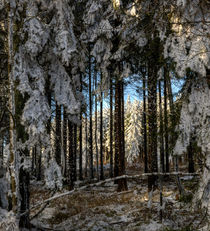 Winterwunderland by sicht-weisen