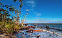 Big Talbot Island Beach by John Bailey