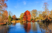 Winter Lake Scene by Graham Prentice