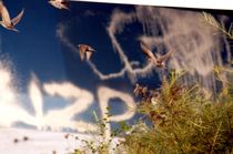 starlets in front of artificial sky - Stare vor künstlichem Himmel by mateart