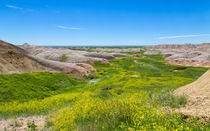 River Of Green At The Badlands von John Bailey