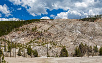 Roaring Mountain Yellowstone von John Bailey