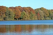 Herbstwald am Seeufer von toeffelshop