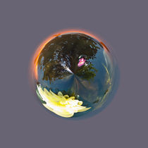 Pond in Globe von Robert Gipson