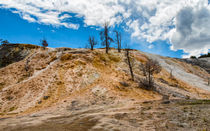 Heading To Palette Springs Yellowstone von John Bailey