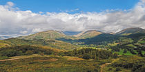 Fairfield Horseshoe von Roger Green