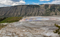 Yellowstone Contrasts von John Bailey