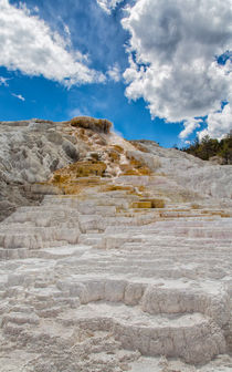 The Terraced Palette Springs by John Bailey