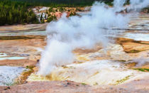 Norris Geyser Basin In Action von John Bailey