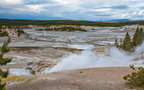 Norris Geyser Basin Yellowstone von John Bailey