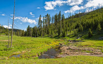 Meadows And Springs by John Bailey