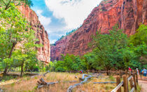 Hiking To Zion Canyon Narrows by John Bailey