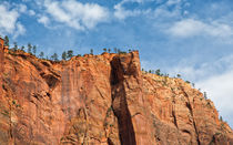 Magnificent Walls At Zion Canyon von John Bailey