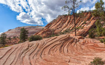 Rippled Rock At Zion National Park by John Bailey