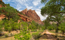 Zion Canyon River Walk by John Bailey