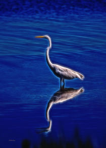 Spirit Of The Egret von John Bailey