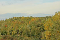 Herbstwald im Ruhrgebiet von toeffelshop