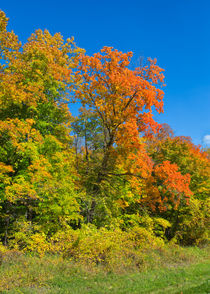 Autumn Minnesota Countryside by John Bailey