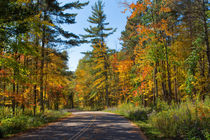 Drive Through Splendor in Minnesota von John Bailey