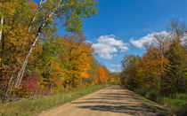 Backroads by John Bailey