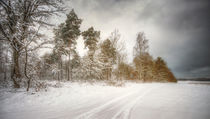 winterzeit II von Manfred Hartmann