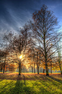 Autumn in London von David Pyatt