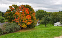 Autumn In The Country von John Bailey