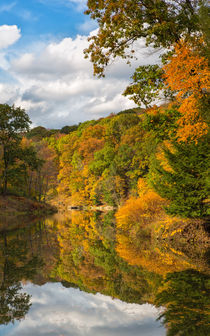 West Virginia Beauty von John Bailey