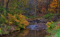 Autumnal Tomlinson Run von John Bailey