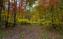 Travels Through Autumn by John Bailey