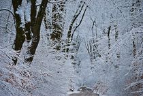 Schneewinterwald... by loewenherz-artwork