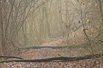 Ruhrpott Wildnis von toeffelshop