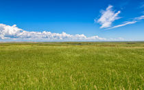 Grasslands In The Badlands von John Bailey