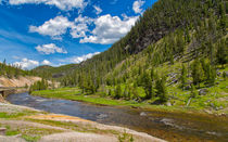 Yellowstone Gibbon River by John Bailey