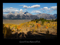 Grand Teton Poster by Kathleen Bishop