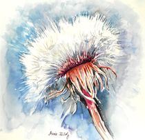 Winter-Pusteblume von Maria Földy