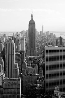 new york city ... manhattan view I by meleah