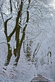 Wintertraum von loewenherz-artwork